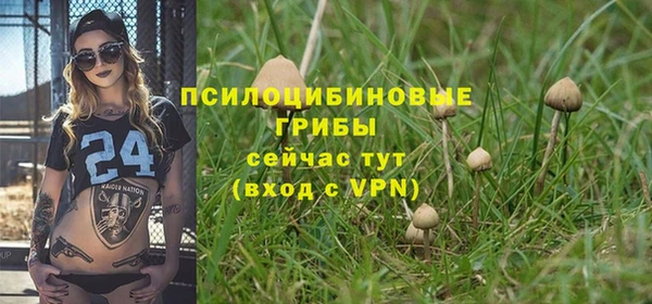 дмт Остров