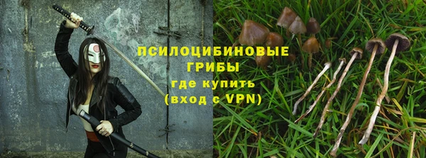 а пвп мука Осинники