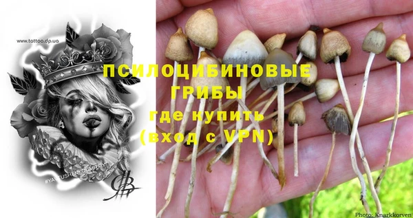 марки lsd Осташков