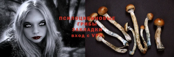 а пвп мука Осинники