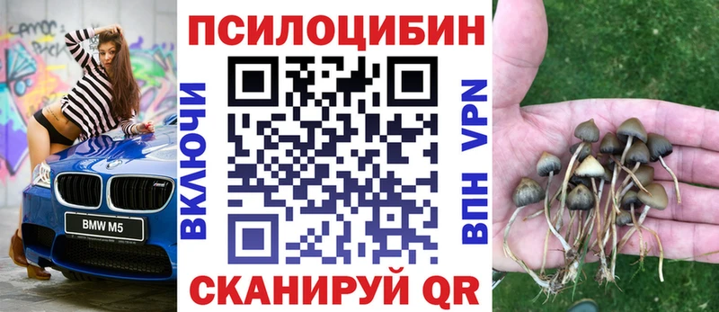 Галлюциногенные грибы мухоморы  купить наркотик  Прохладный 